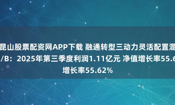 昆山股票配资网APP下载 融通转型三动力灵活配置混合A/B：2025年第三季度利润1.11亿元 净值增长率55.62%
