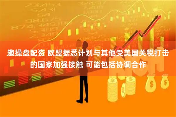 趣操盘配资 欧盟据悉计划与其他受美国关税打击的国家加强接触 可能包括协调合作