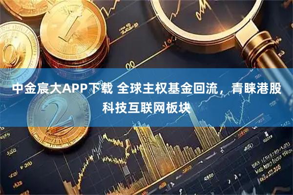 中金宸大APP下载 全球主权基金回流，青睐港股科技互联网板块