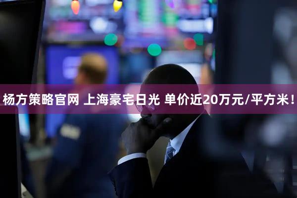 杨方策略官网 上海豪宅日光 单价近20万元/平方米！