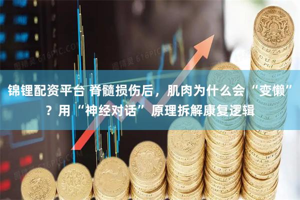 锦锂配资平台 脊髓损伤后，肌肉为什么会 “变懒”？用 “神经对话” 原理拆解康复逻辑